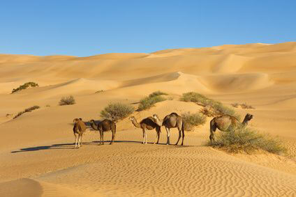 Libyen Country