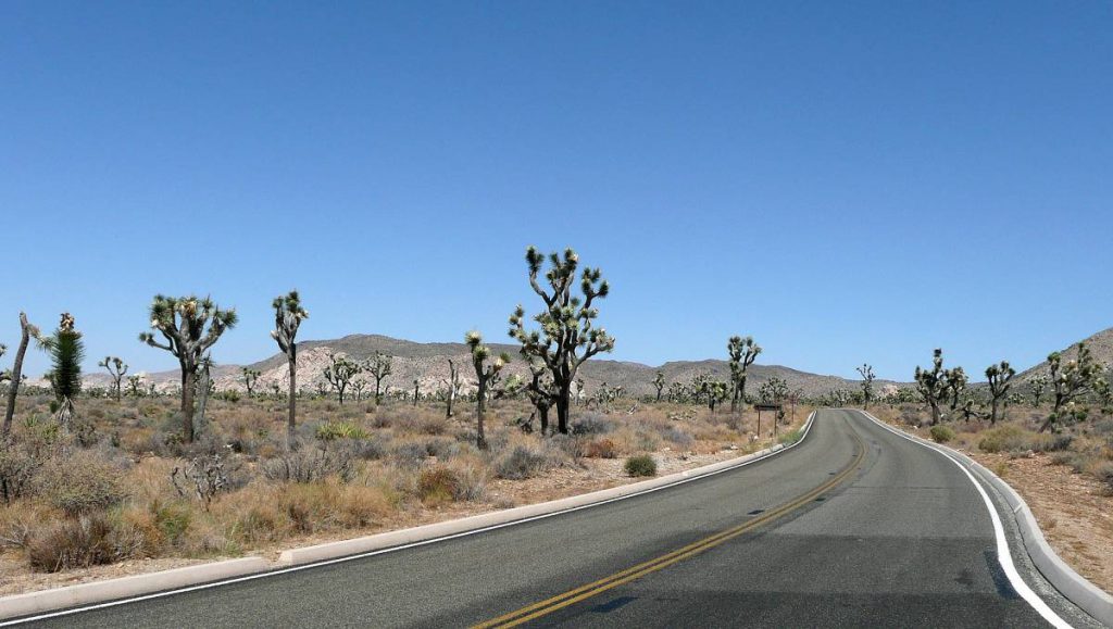 Joshua Tree National Park