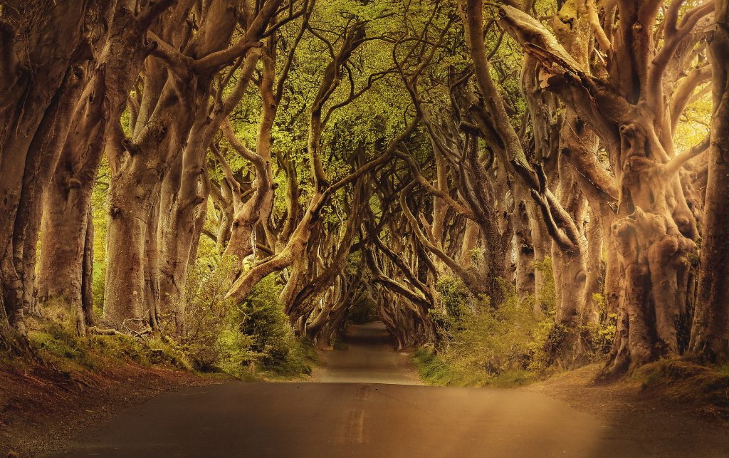Roadtrip Nordirland: Game of Thrones
