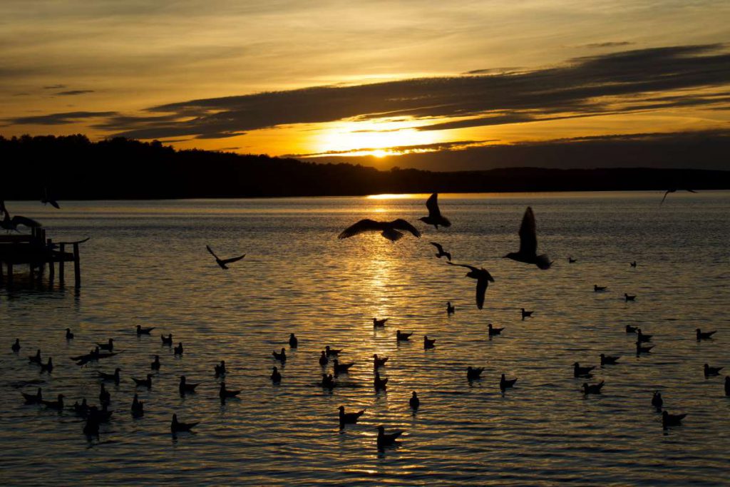 Steinhuder Meer