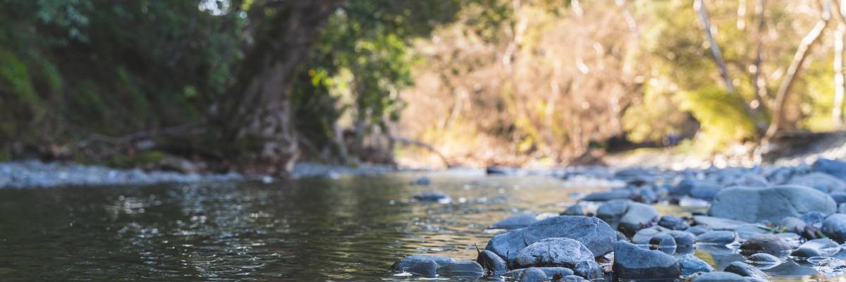 Las Canales Padules