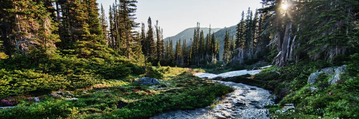 Olympic National Park