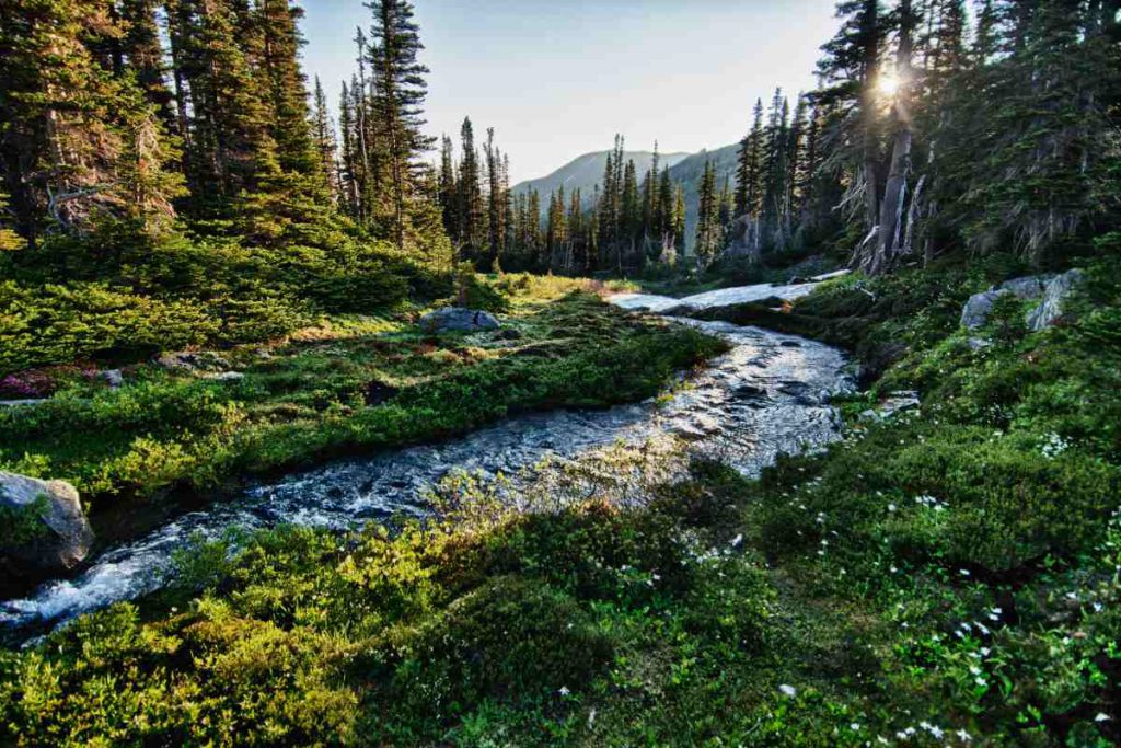 Olympic National Park