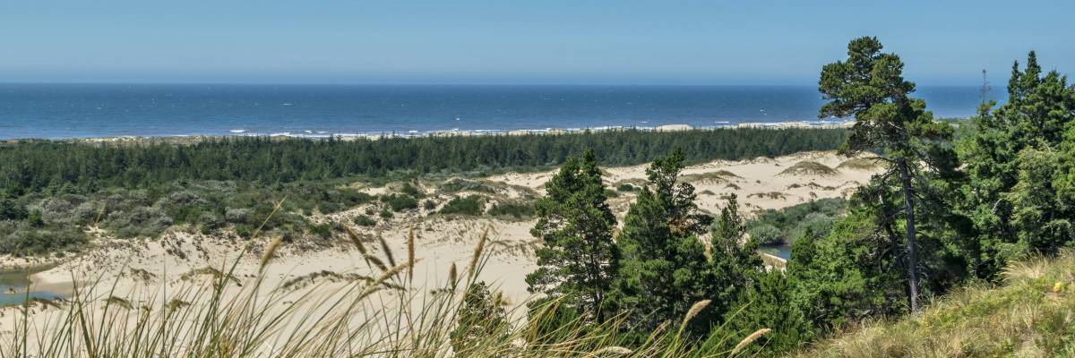 Oregon Dunes