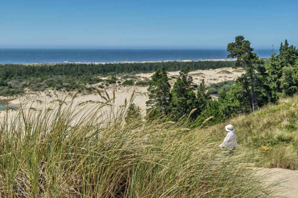 Oregon Dunes