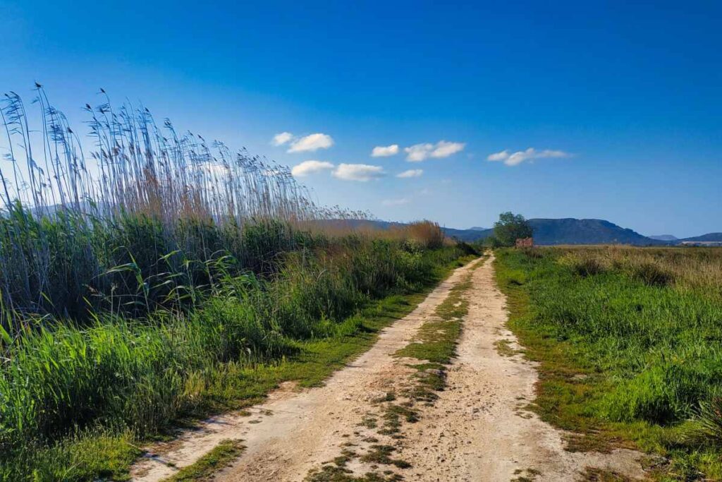 s'Albufera Mallorca