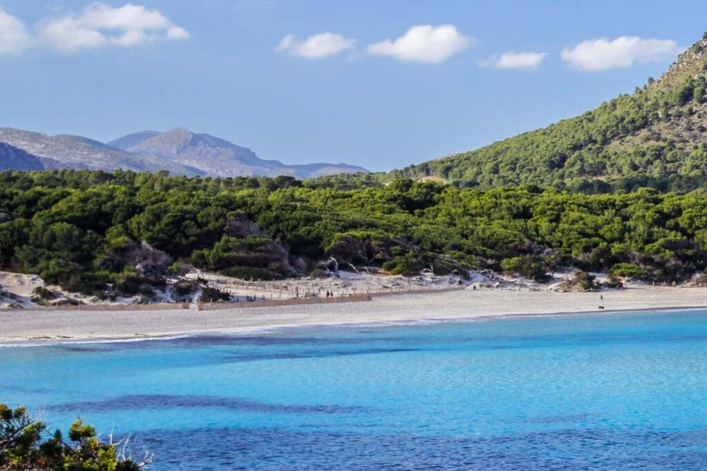 Cala Agulla Mallorca