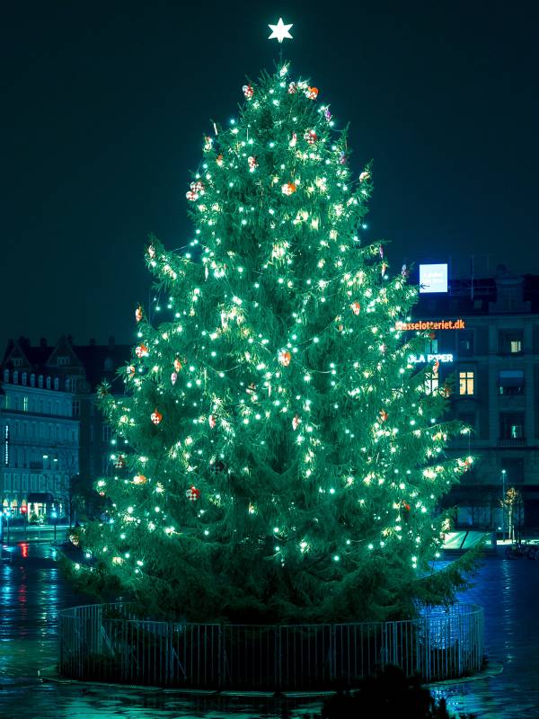 Weihnachtsbaum Kopenhagen