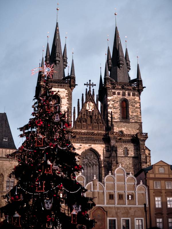 Weihnachtsbaum in Prag