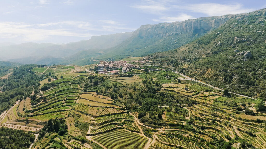 Grand Tour von Katalonien: terrassierten Weinberge
