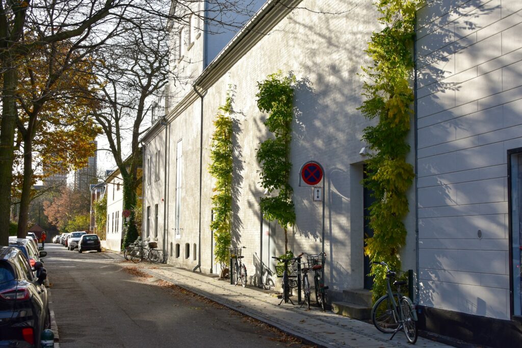 Eine Straße mit am Straßenrand geparkten Autos in Kopenhagen.