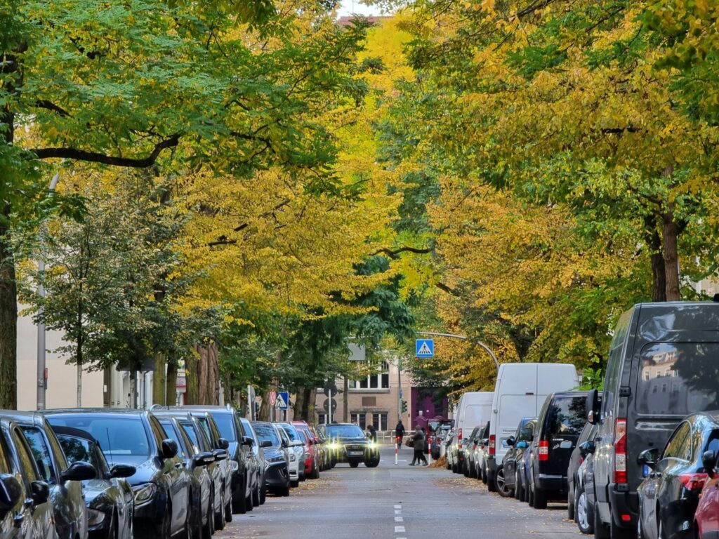 Eine Straße gesäumt von geparkten Autos und Bäumen.
