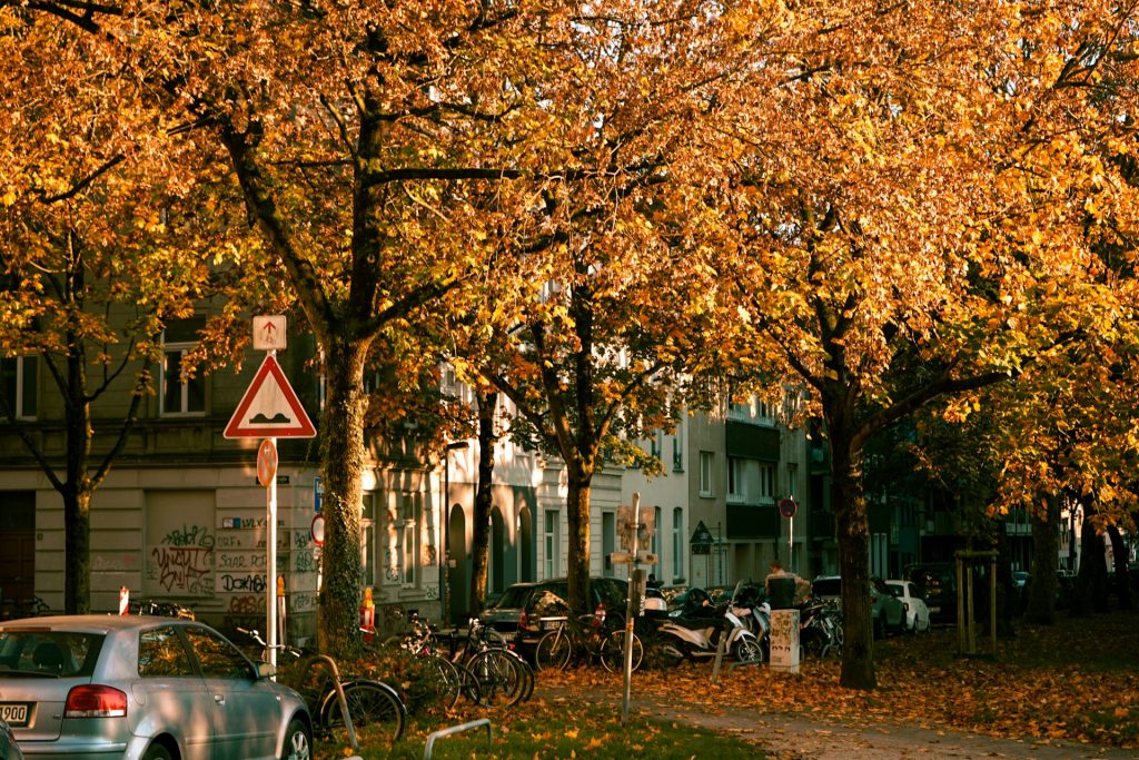 Geparktes Auto an einer Straße in Aachen im Herbst mit buntem Laubwerk.