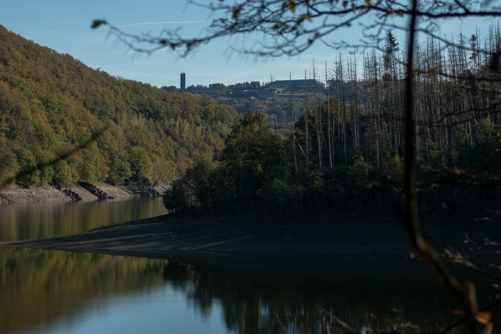 Ruhiger See umgeben von herbstlichen Wäldern und Hügeln im Nationalpark Eifel.