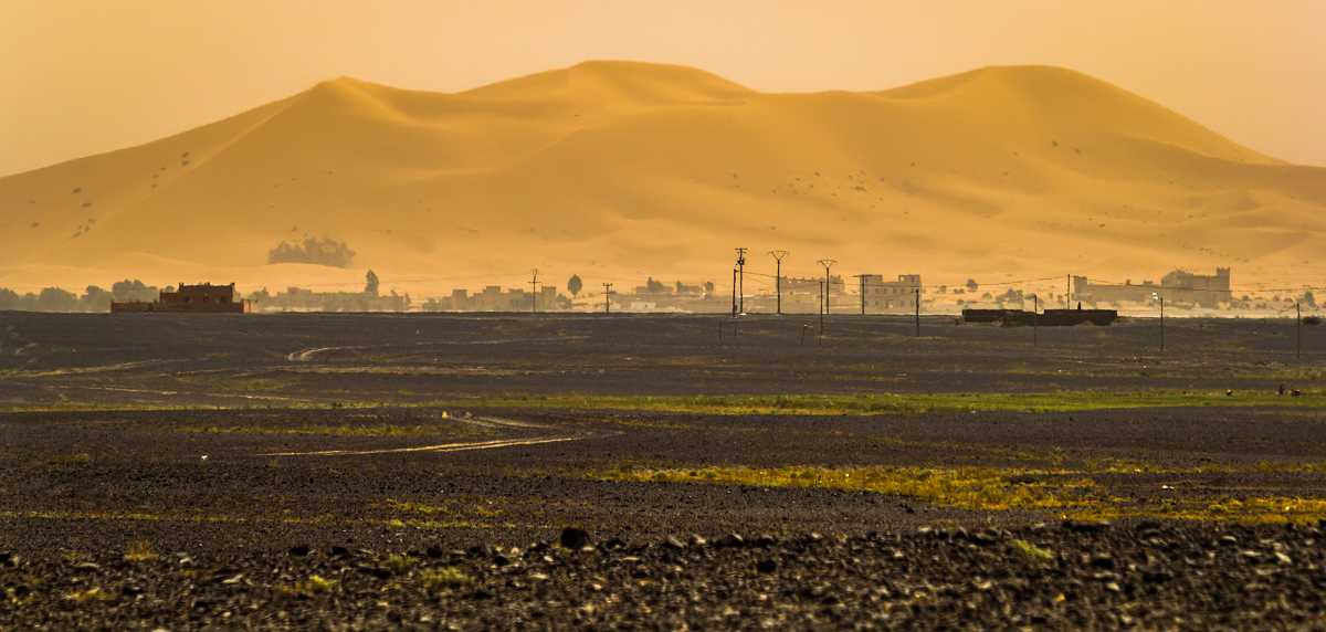 Oase von Merzouga mit der Düne Erg Chebbi im Hintergrund und der 